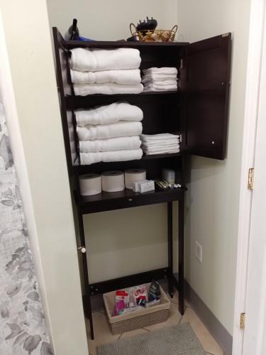 um toalheiro na casa de banho com toalhas em Cozy Updated 3-BR apartment near Peace Bridge em Buffalo