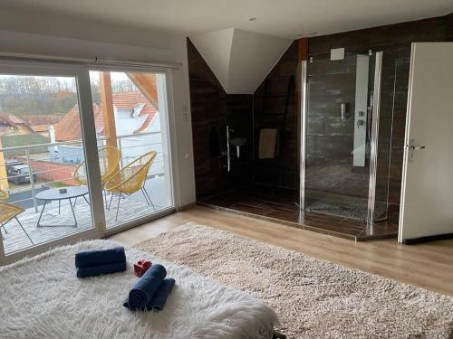 Maison détente équipée d un grand sauna في Gingsheim: غرفة معيشة مع دش زجاجي كبير وسجادة