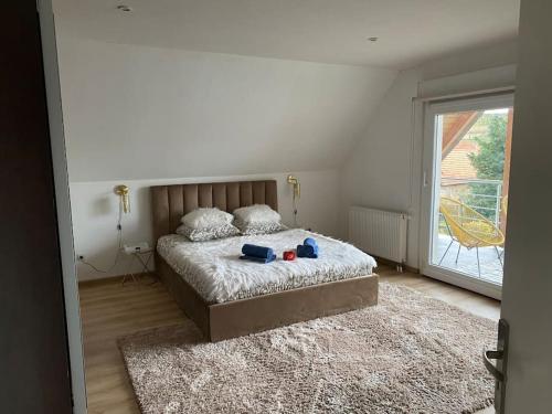 Maison détente équipée d un grand sauna في Gingsheim: غرفة نوم بها سرير ونافذة كبيرة