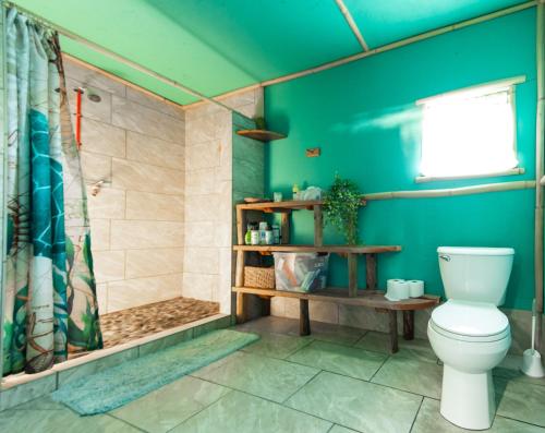 a bathroom with a toilet and a shower at Open Gate Hostel Hawaii in Pahoa