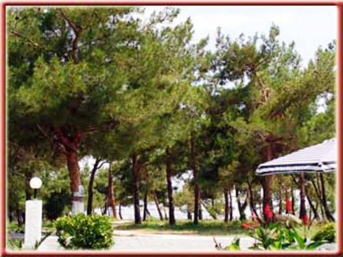 Κήπος έξω από το Villa Iris
