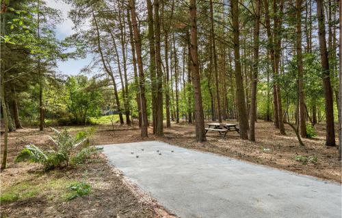 a path in the woods with a picnic table at Amazing Home In Farsø With Wifi in Farsø