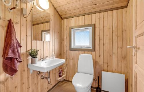 Gredstedbro的住宿－Nice Home In Gredstedbro With House A Panoramic View，一间带卫生间和水槽的浴室