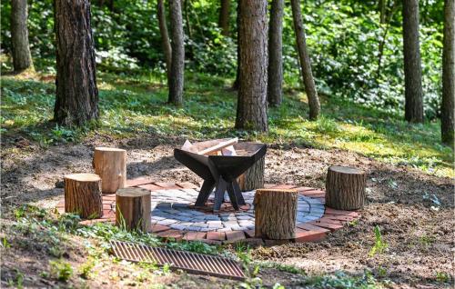 a fire pit in the middle of a park with trees at Beautiful Home In Klenovnik With Sauna in Klenovnik