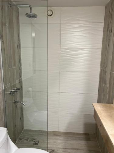 y baño con ducha y puerta de cristal. en BUENOS AIRES OASIS en Buenos Aires