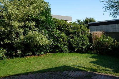 einen Hof mit grünem Gras und Bäumen und ein Gebäude in der Unterkunft Ruhiges Haus mit privatem Garten in Halstenbek