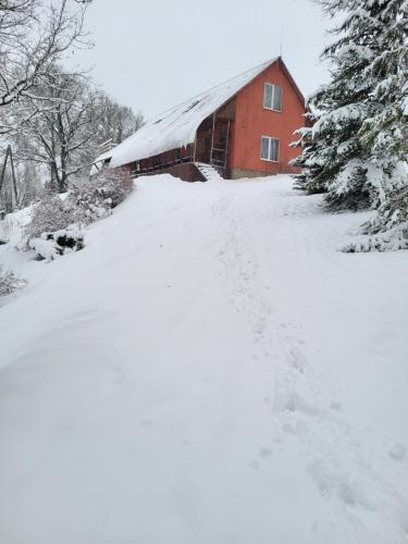 a red barn covered in snow next to trees at Vēverkalni in Vidriži