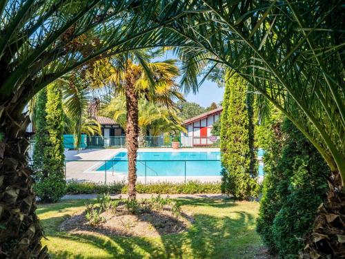 un palmier en face d'une piscine dans l'établissement Appartement Coquet avec Piscine et Balcon à Ciboure, Proche Golf de la Nivelle - FR-1-4-480, à Ciboure