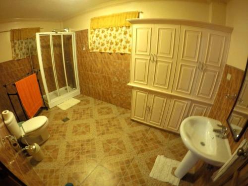 a bathroom with a shower and a toilet and a sink at Lambug Beach Homestay in Lambug