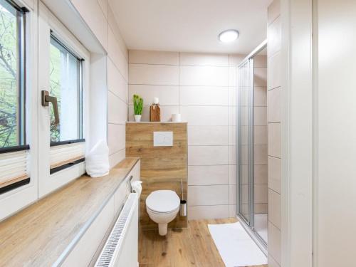 a bathroom with a toilet and a shower at Charming holiday home in F genberg with lots of comfort in Fügenberg