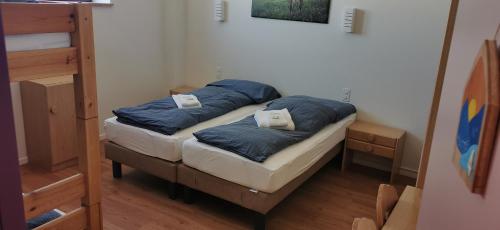 a bedroom with two twin beds with blue pillows at Alpenlodge Kühboden in Fiesch