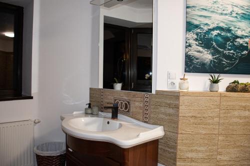 een badkamer met een wastafel en een spiegel bij JANINE GARDEN in Braşov
