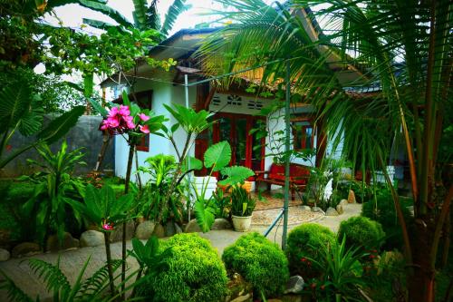 a garden in front of a house with plants at Sumatra Orangutan Discovery Villa in Bukit Lawang