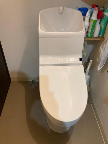 a white toilet in a bathroom with a sink at GreenHotel in Tokyo