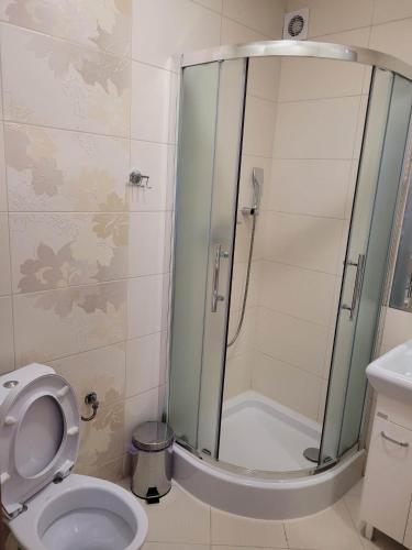 a bathroom with a shower and a toilet at U Juhasa Miętówka in Białka Tatrzanska