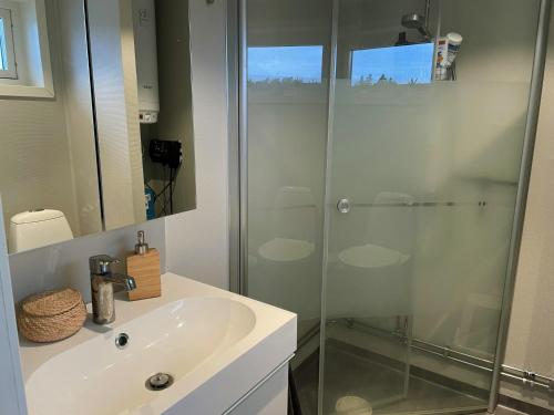 a bathroom with a sink and a glass shower at Lovely cottage in Bankeryd with a panoramic view of the lake in Bankeryd