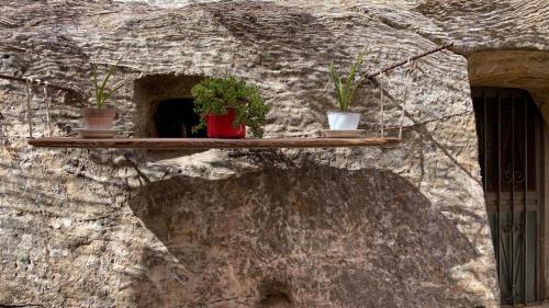 ein Regal mit Topfpflanzen an einer Steinwand in der Unterkunft Casa al vecchio mulino in Sperlinga