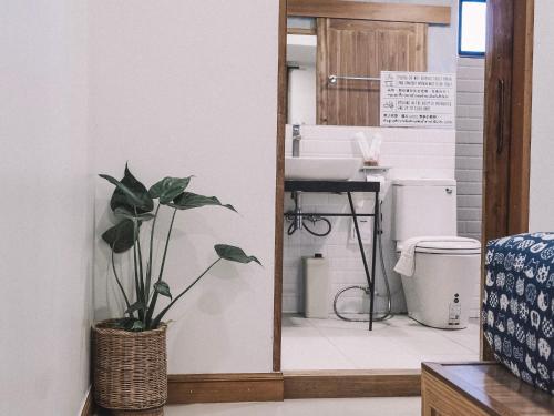 ein Badezimmer mit einem Waschbecken und einer Topfpflanze in der Unterkunft Sleepy House Chiang Rai in Chiang Rai