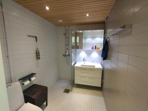 a bathroom with a toilet and a sink and a mirror at Helsinki Penthouse near the west harbor in Helsinki