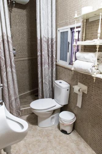 a bathroom with a toilet and a sink and a shower at Casa Cueva Picoesquina in Guadix