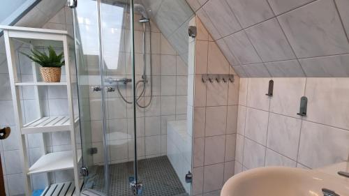 a bathroom with a shower and a sink at Appartement im Silwai 4 in Großenaspe