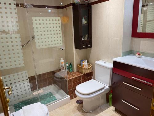 y baño con ducha, aseo y lavamanos. en Habitaciones Dulces Sueños, en Córdoba