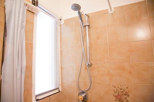 a shower with a shower head in a bathroom at Loft Seccheto sul Mare in Seccheto