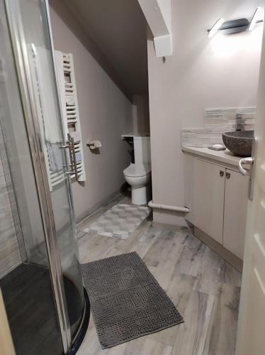 een badkamer met een douche en een toilet bij Location T2 Proche Annecy in Meythet