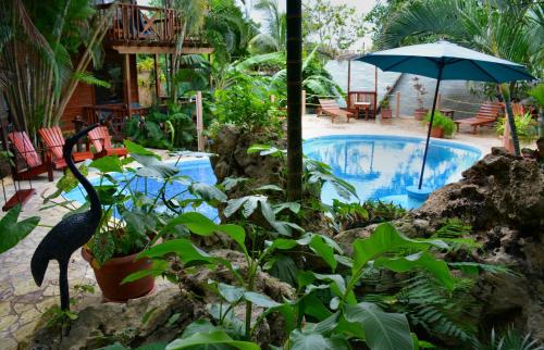 a bird standing next to a swimming pool with an umbrella at West Bay Lodge and Spa in West Bay
