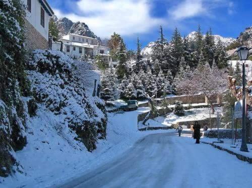 a street covered in snow with buildings and trees at Casa Virués in Grazalema