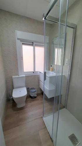 a bathroom with a toilet and a sink and a shower at CHALET VILLA Los HIPOCAMPOS in Cullera