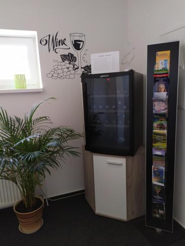 a tv sitting on a stand next to a refrigerator at Penzion ENO in Kelčany