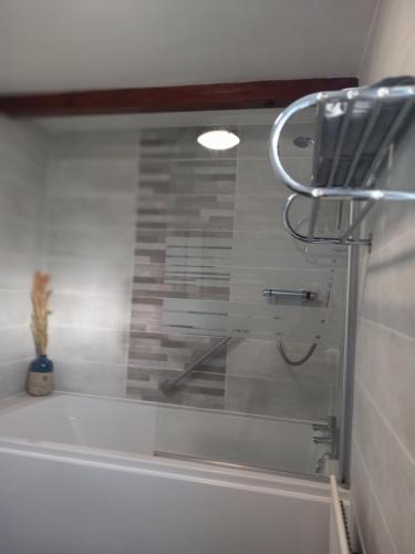a shower in a bathroom with a bath tub at Hayfellside Nook in Kendal