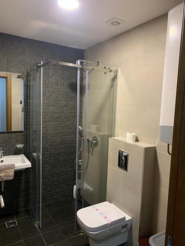 uma casa de banho com um chuveiro, um WC e um lavatório. em AD luxury em Podgorica
