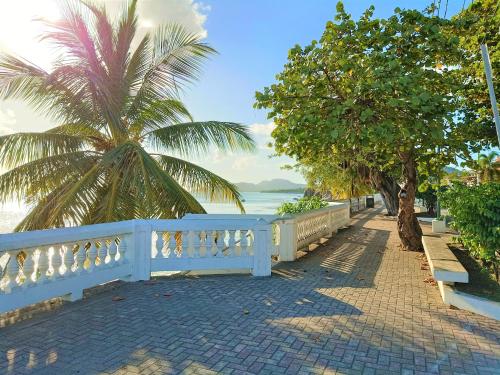 a white fence and a palm tree next to the ocean at Waterside Inn in Vieques