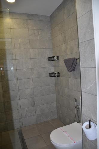 een badkamer met een douche en een toilet. bij André in Sofia