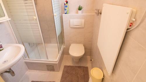 uma casa de banho com um chuveiro, um WC e um lavatório. em Small-comfy Guest House in Donaustadt garden - Not SHARED! em Viena