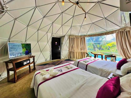 Zimmer mit 2 Betten und einem TV in einem Zelt in der Unterkunft Shanti Wellness Sanctuary in Lemery