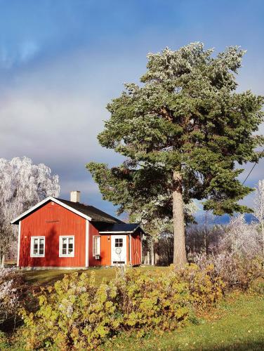 una casa roja en una colina con un árbol en Gårdshus en Lit