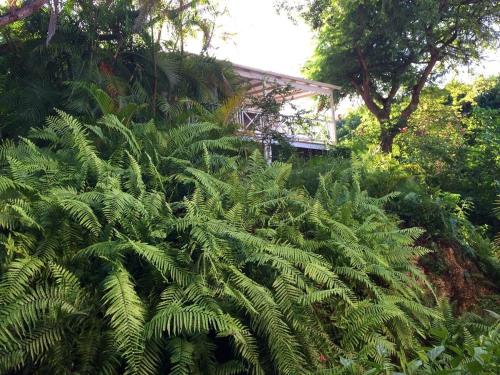 En have udenfor Tamarind Cottage by Bluescape