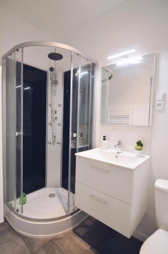 a bathroom with a shower and a sink at Studios Lsquare Residence AFPA in Châtellerault