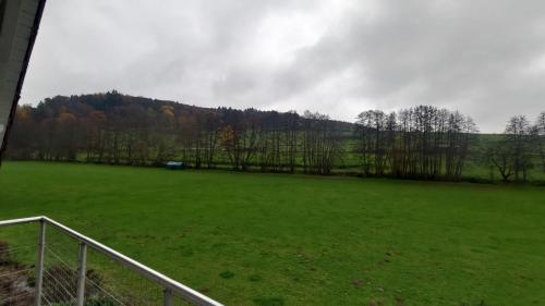 a large green field with trees in the background at Ferienwohnung Dreiseetal in Dorf Erbach