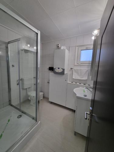 a bathroom with a shower and a toilet and a sink at Casa Thor in Sinaia