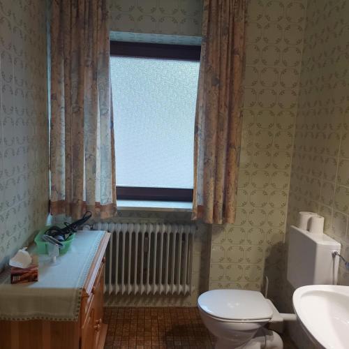 a bathroom with a toilet and a window at Landhaus Weiß in Bad Reichenhall