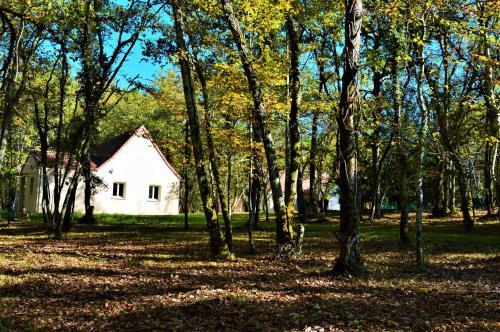 a white house in the middle of a forest of trees at Gîte Spa & Nature in Saint-Chamassy