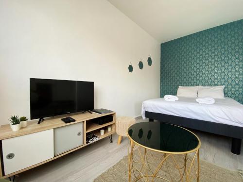 Schlafzimmer mit einem Bett, einem TV und einem Stuhl in der Unterkunft COSY in Clermont-Ferrand