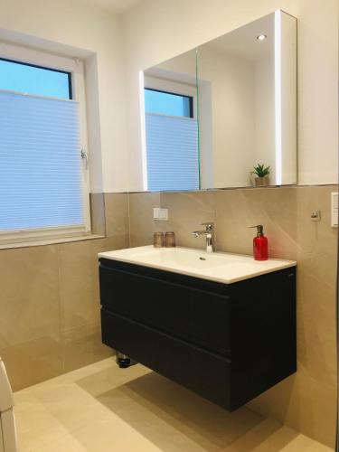a bathroom with a sink and a mirror at Bio Schartenhof in Sankt Johann im Pongau