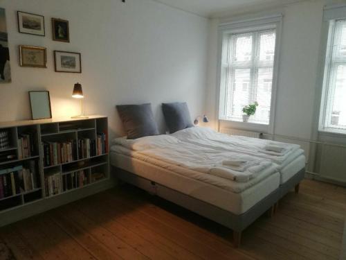 コペンハーゲンにあるApartmentInCopenhagen Apartment 397のベッドルーム(ベッド1台、本棚付)