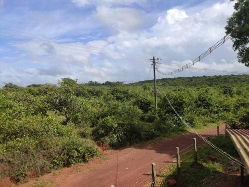 a dirt road with a telephone pole and trees at Kamanabillu Homestay, For jog falls travellers in Siddāpur