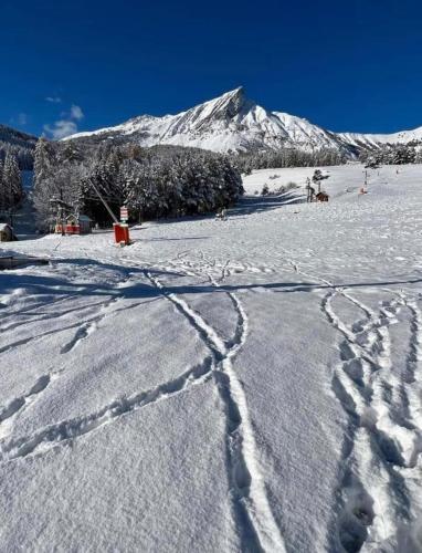 a snow covered mountain with tracks in the snow at Laye Station - Appartement pieds des pistes in Laye